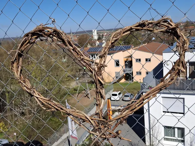 Blick auf Hungerfeldschule und Stiftskirche | Foto: Norbert S.