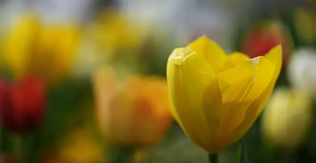 Foto: Moni Bordt