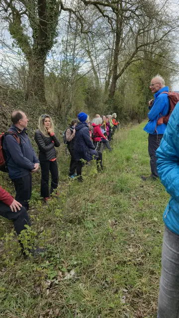 Im oberen Teil des Hohlweges | Foto: Klaus Funk