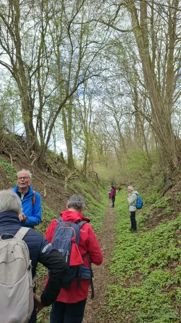 Im Hohlweg bei Tiefenbach | Foto: Klaus Funk