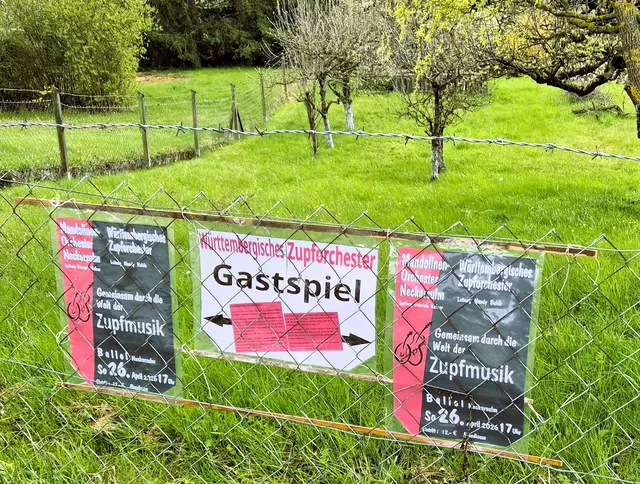 Das Württembergische Zupforchester unter Leitung von Mandy Bahle gastiert in der Ballei in Neckarsulm. Gemeinsam mit dem Mandolinen-Orchester Neckarsulm zeigen die beiden Orchester mit Mandolinen, Gitarren und Bass die ganze Bandbreite der Zupfmusik. | Foto: (c) H. W. für GMS