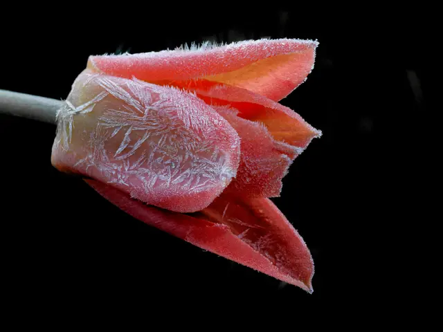 Foto: Eigenes Bild TB