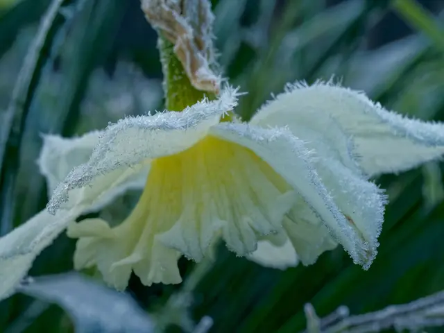 Foto: Eigenes Bild TB