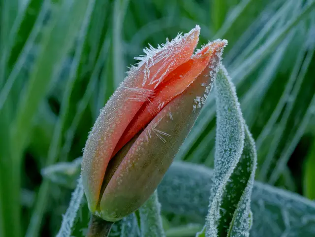 Foto: Eigenes Bild TB