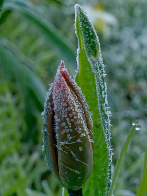 Foto: Eigenes Bild TB