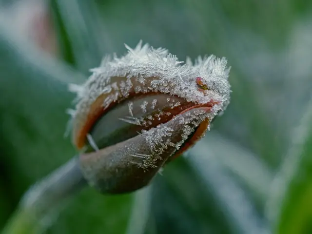 Foto: Eigenes Bild TB