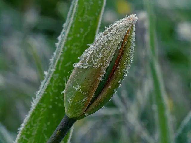 Foto: Eigenes Bild TB