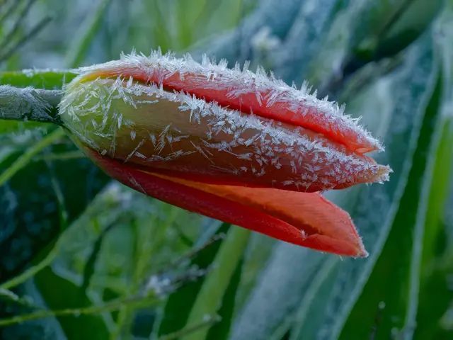 Foto: Eigenes Bild TB