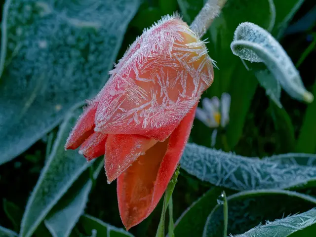 Foto: Eigenes Bild TB