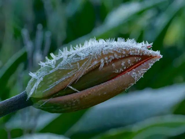 Foto: Eigenes Bild TB