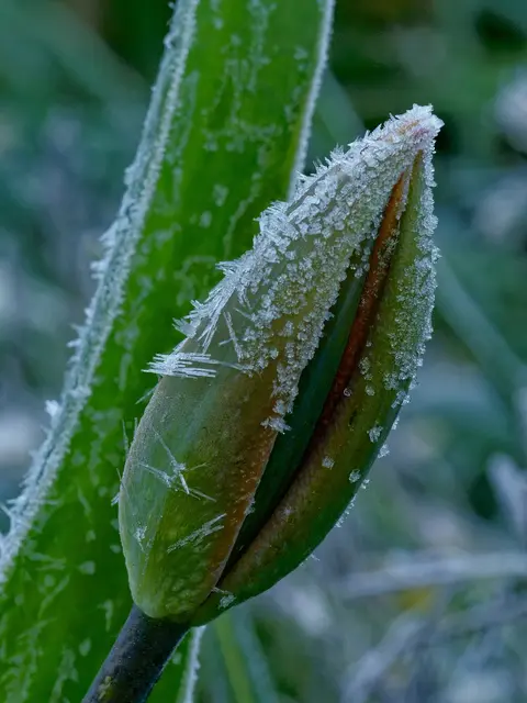 Foto: Eigenes Bild TB