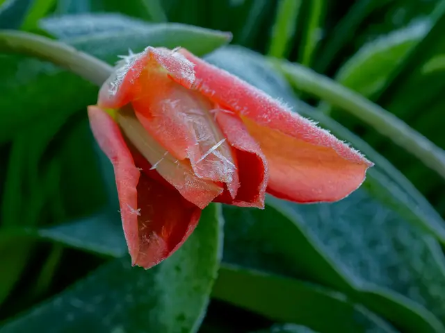 Foto: Eigenes Bild TB