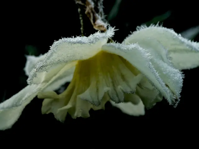 Foto: Eigenes Bild TB