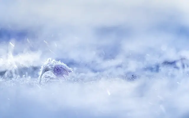 Britta Springler | Foto: Britta Springler