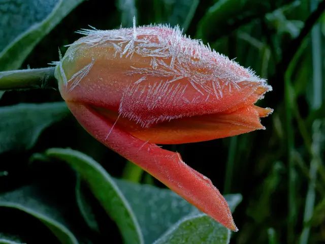 Foto: Eigenes Bild TB