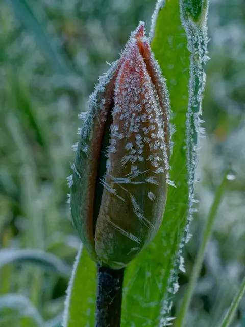 Foto: Eigenes Bild TB