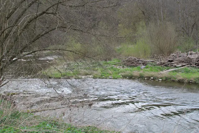 Abendspaziergang am Kocher | Foto: Ralf Röser