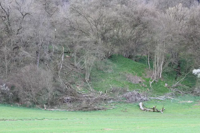 Abendspaziergang am Kocher | Foto: Ralf Röser