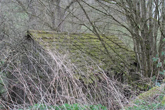 Abendspaziergang am Kocher | Foto: Ralf Röser
