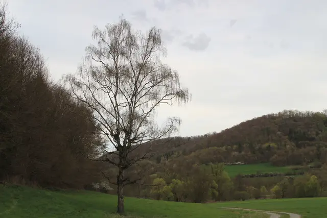 Abendspaziergang am Kocher | Foto: Ralf Röser
