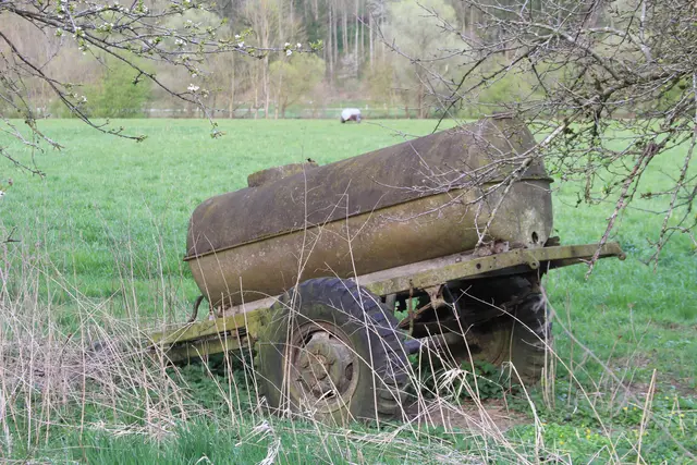 Abendspaziergang am Kocher | Foto: Ralf Röser