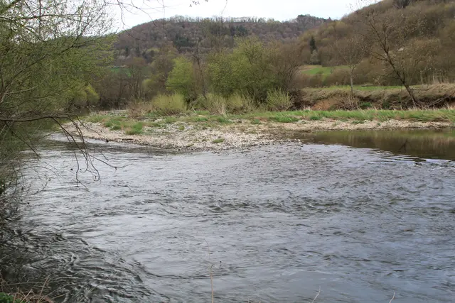 Abendspaziergang am Kocher | Foto: Ralf Röser