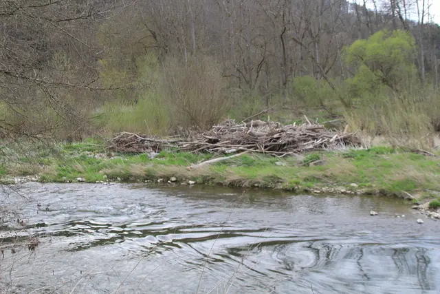Abendspaziergang am Kocher | Foto: Ralf Röser