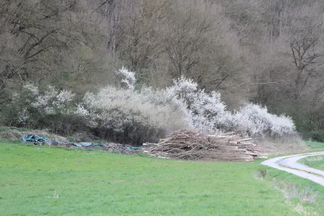 Abendspaziergang am Kocher | Foto: Ralf Röser