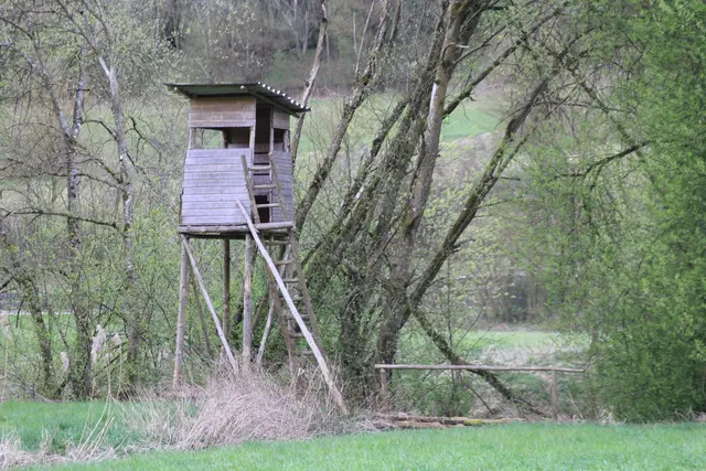 Abendspaziergang am Kocher | Foto: Ralf Röser