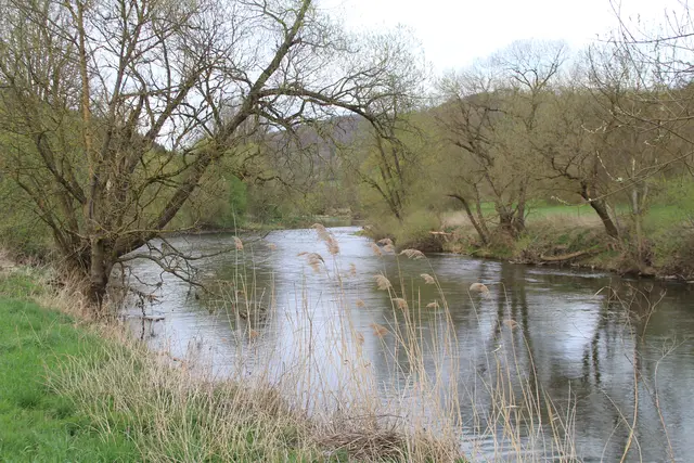 Abendspaziergang am Kocher | Foto: Ralf Röser
