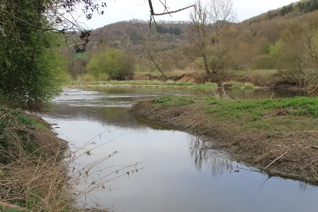 Abendspaziergang am Kocher | Foto: Ralf Röser