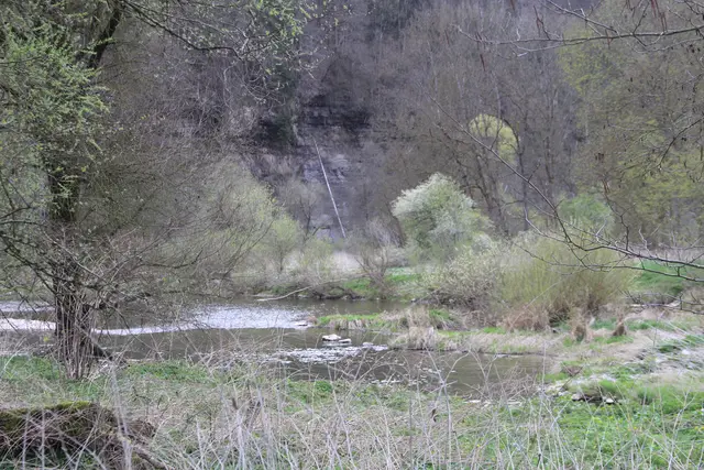 Abendspaziergang am Kocher | Foto: Ralf Röser