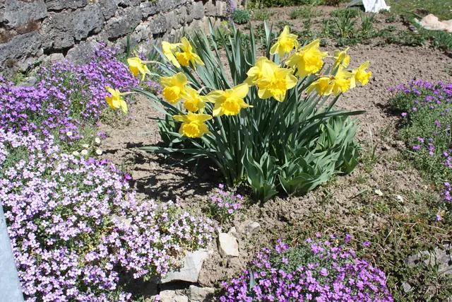 Foto: Gerlinde Müller Krautheim -Neunstetten