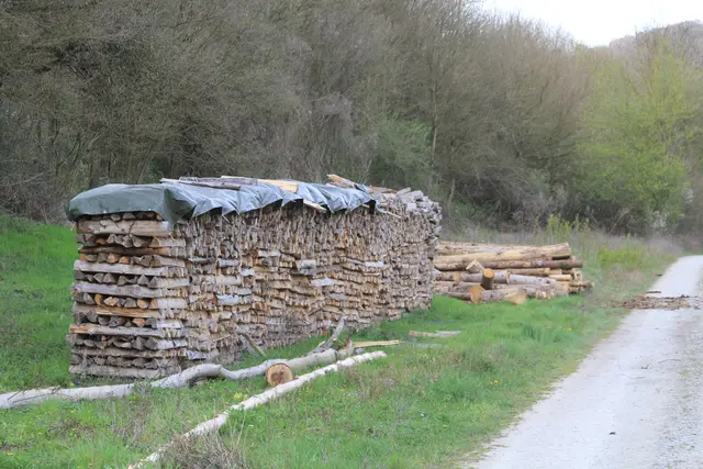 Abendspaziergang am Kocher | Foto: Ralf Röser
