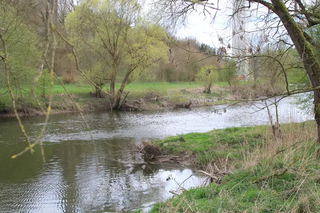 Abendspaziergang am Kocher | Foto: Ralf Röser