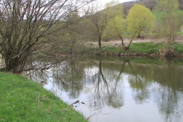 Abendspaziergang am Kocher | Foto: Ralf Röser