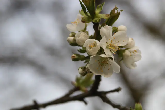 Abendspaziergang am Kocher | Foto: Ralf Röser