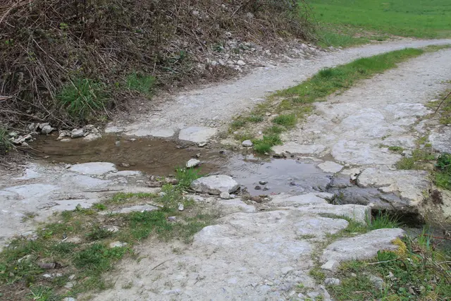 Abendspaziergang am Kocher | Foto: Ralf Röser