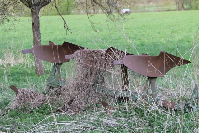 Abendspaziergang am Kocher | Foto: Ralf Röser