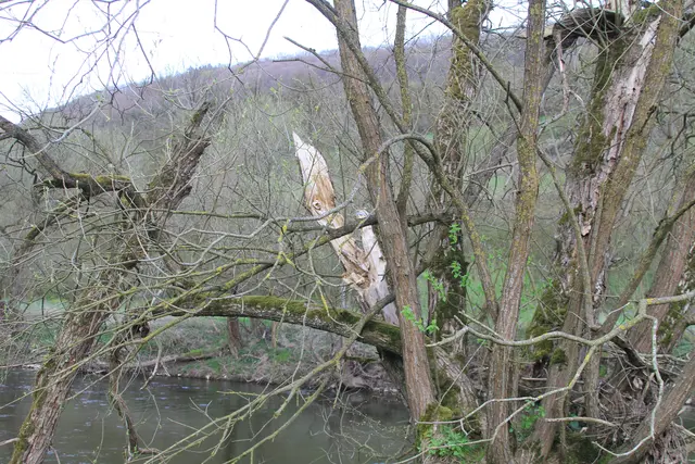Abendspaziergang am Kocher | Foto: Ralf Röser