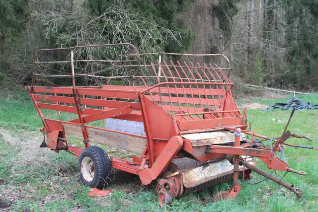 Abendspaziergang am Kocher | Foto: Ralf Röser