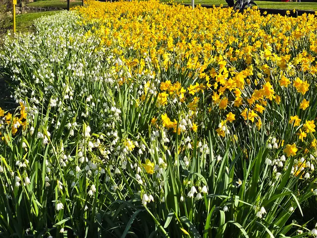 Foto: Heidrun Rosenberger