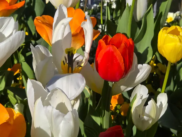 Foto: Heidrun Rosenberger
