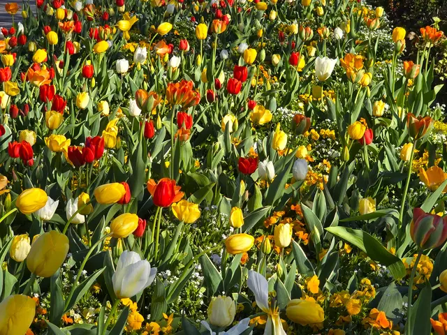 Foto: Heidrun Rosenberger