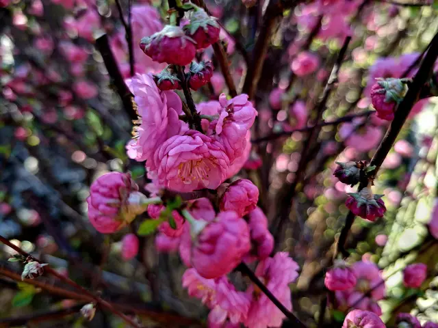 einfach schee😍🌸🌞 | Foto: Ralf Röser