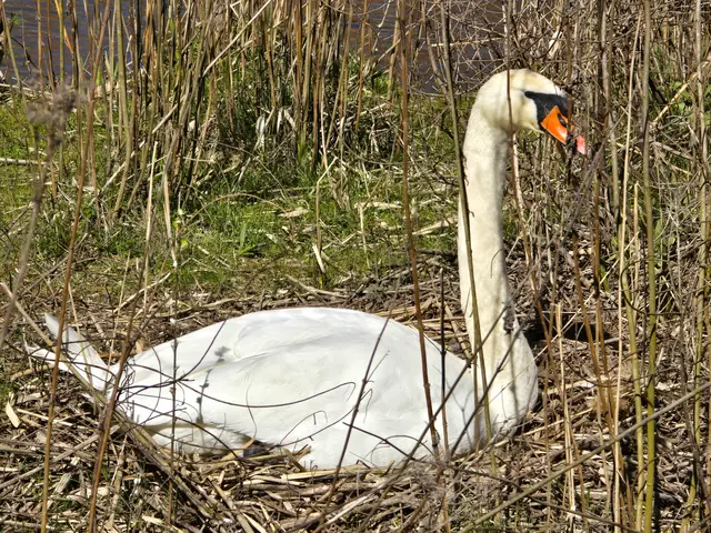 Foto: Heidrun Rosenberger