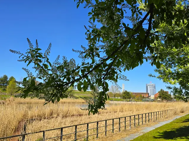 Foto: Heidrun Rosenberger