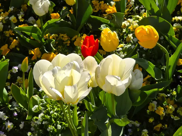 Foto: Heidrun Rosenberger
