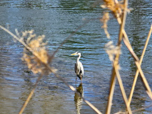 Foto: Heidrun Rosenberger