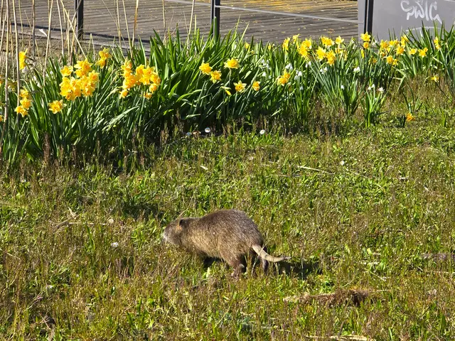 Foto: Heidrun Rosenberger